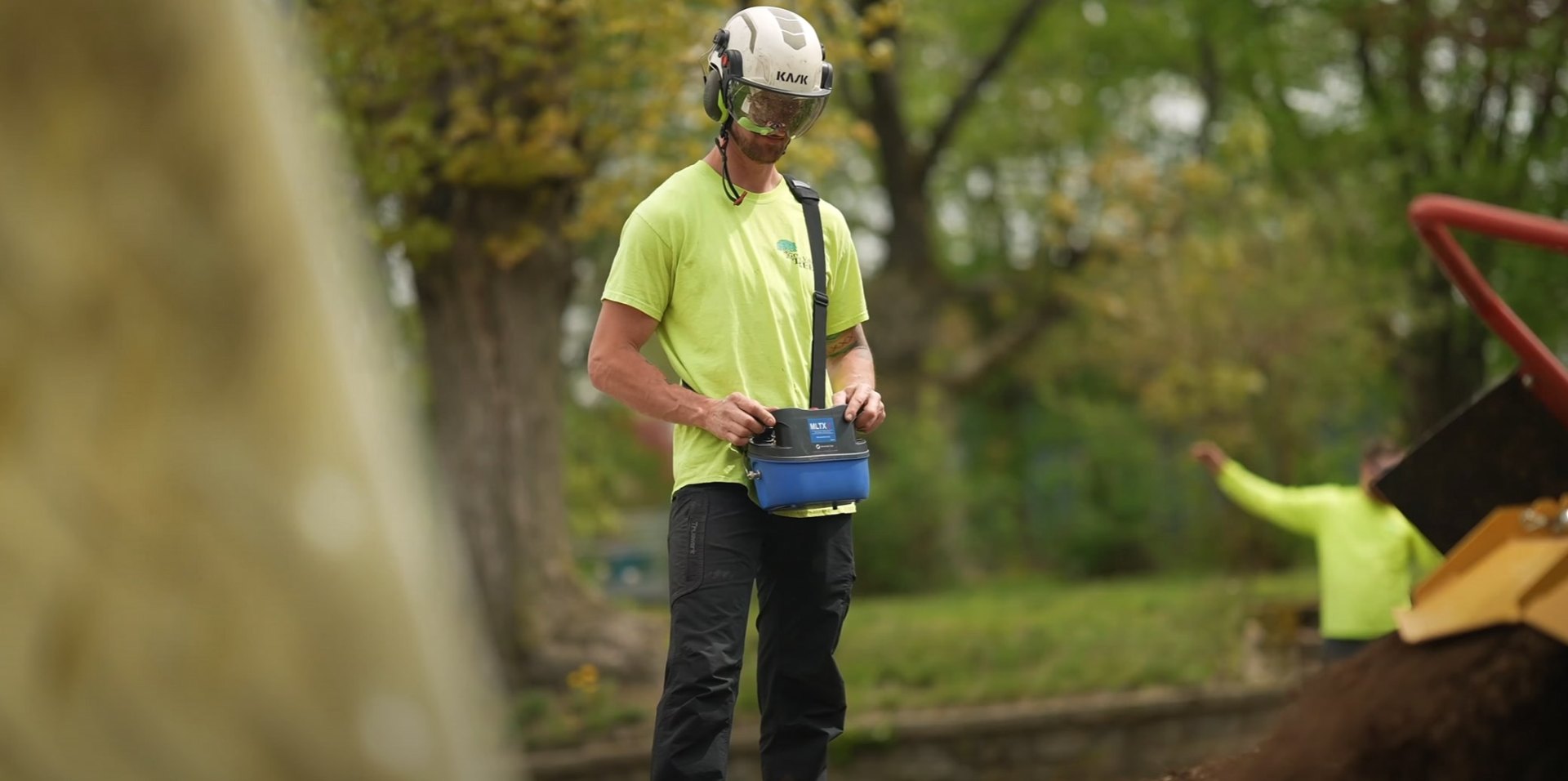 Professional arborist using specialized safety equipment while trimming tree branches