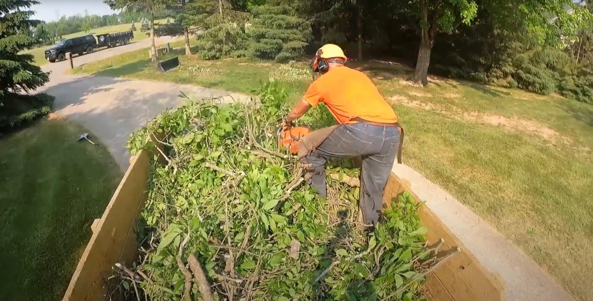 Chainsaw work during tree removal process