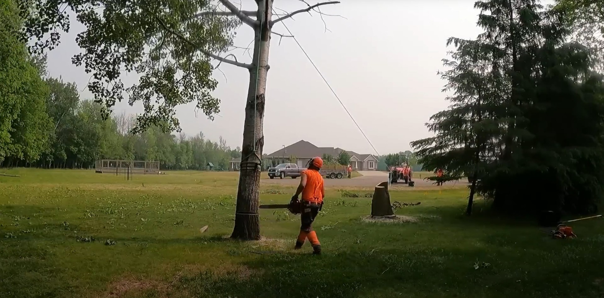 Tree service professional performing precise tree cutting
