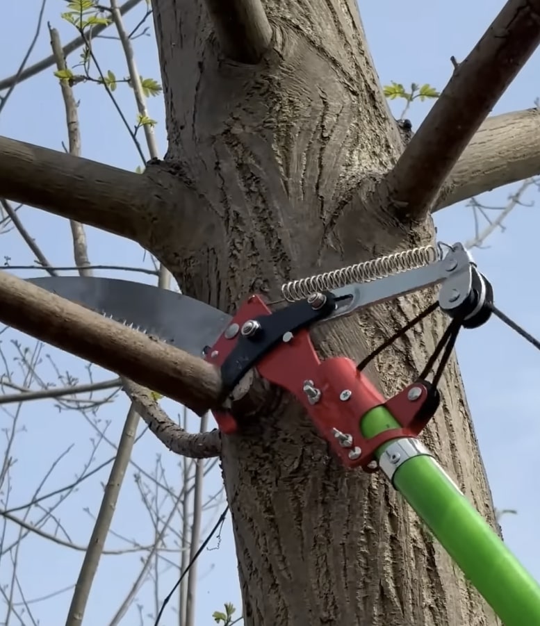 Professional pole saw equipment being used for precision tree trimming and branch removal