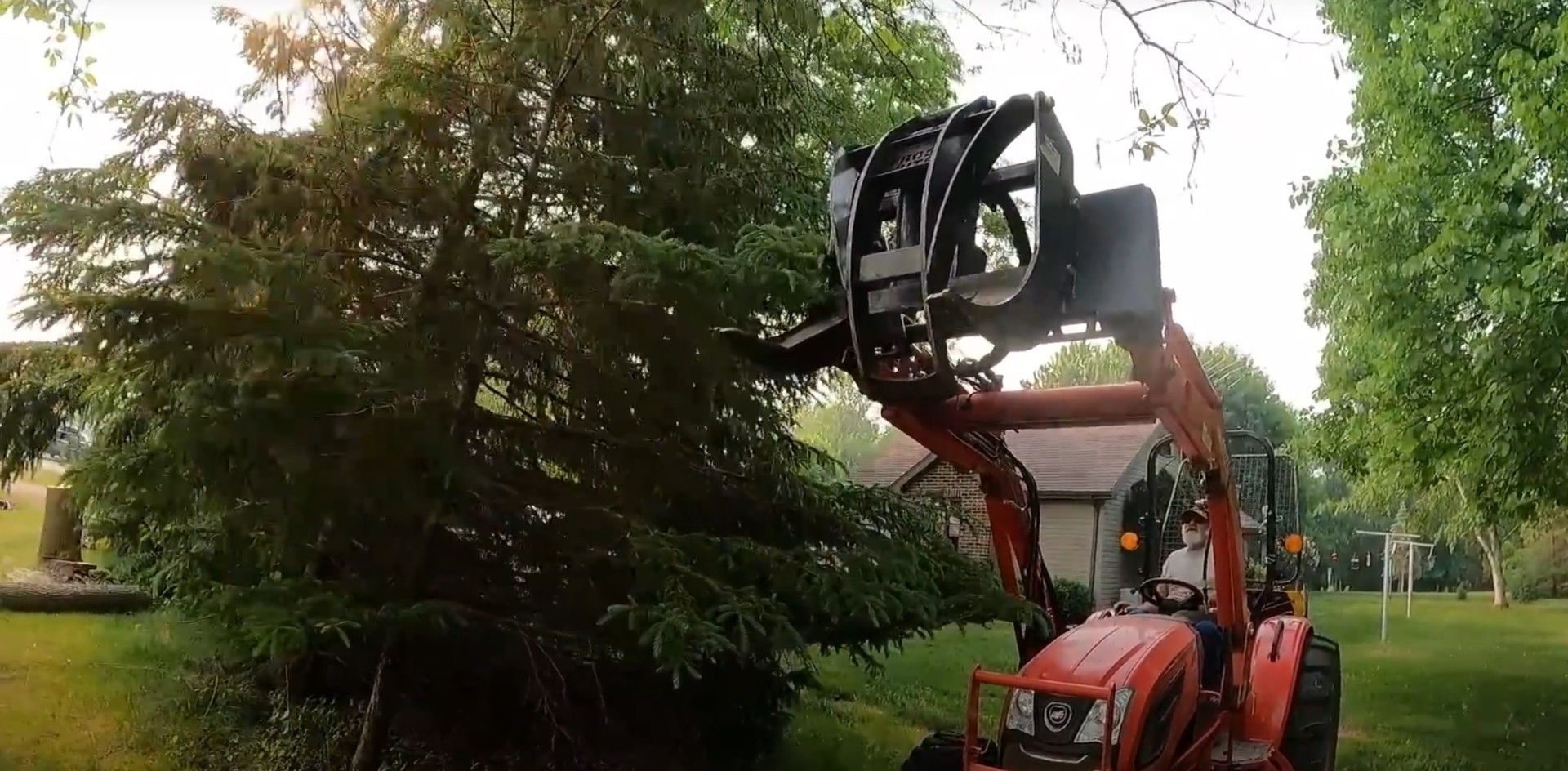 Tree removal specialist with heavy machinery