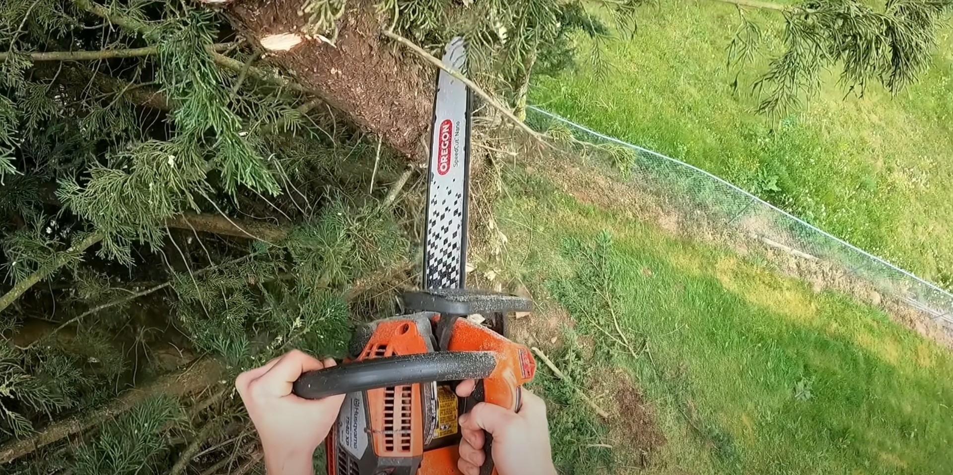 Chainsaw maintenance and professional tree service equipment used by certified arborists